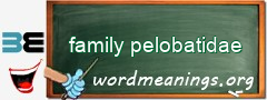 WordMeaning blackboard for family pelobatidae